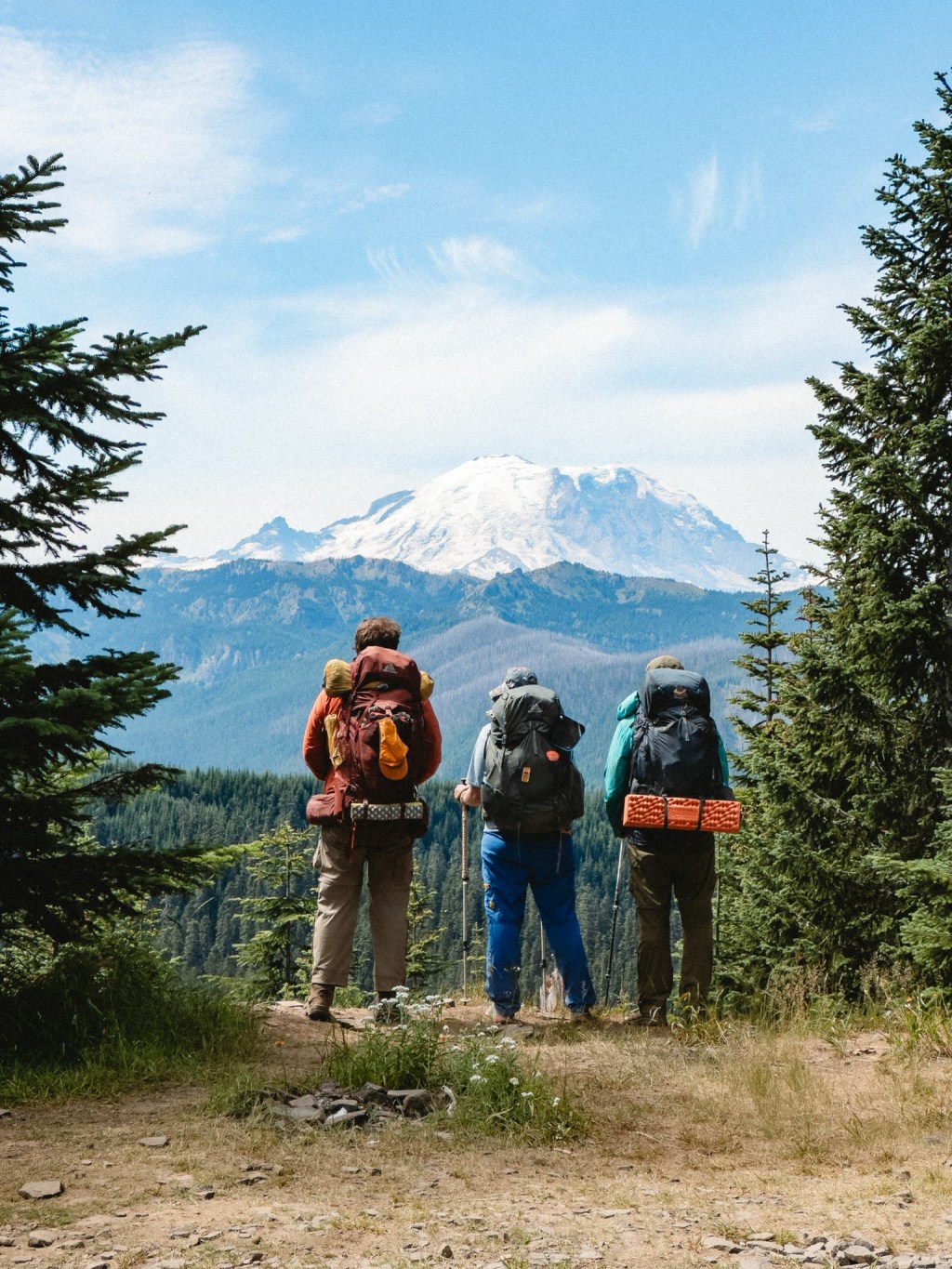 A Comedy of Small&nbsp;Miseries